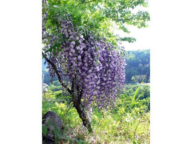 Touryukan