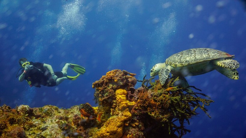 Hotel B Cozumel-Boutique by the Sea