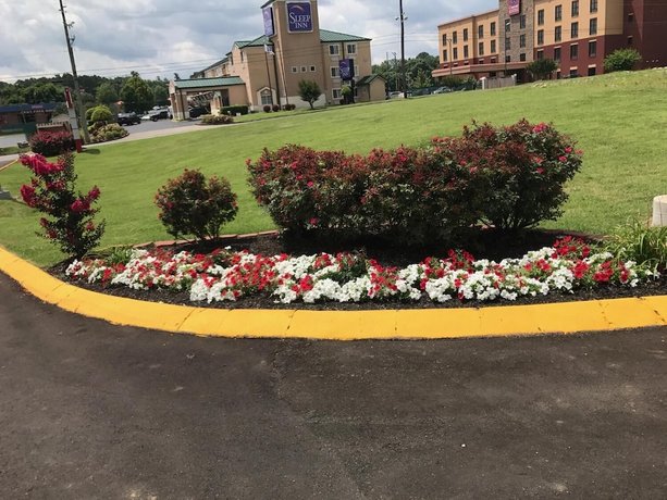 Lotus Inn and Suites Nashville