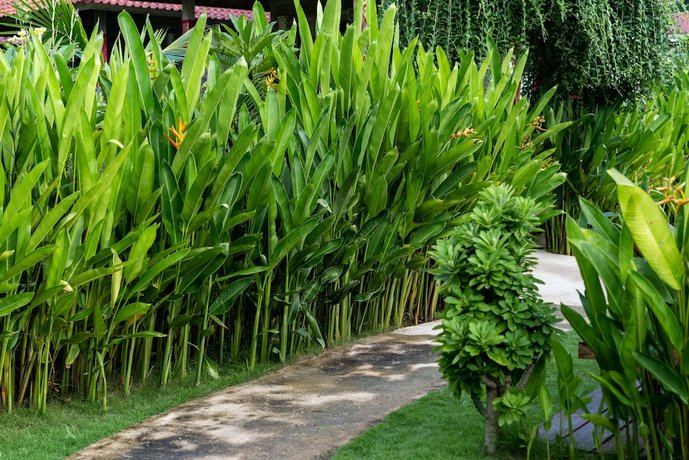 The Sunjaya Lembongan