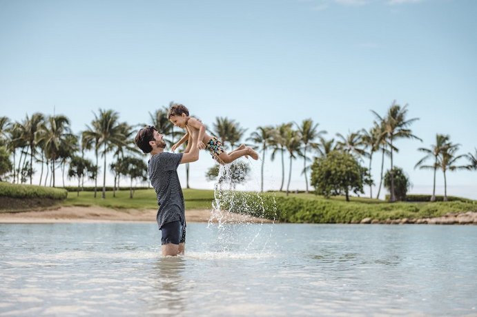 アウラニ ディズニー バケーション クラブ ヴィラズ カポレイ ホテル料金比較