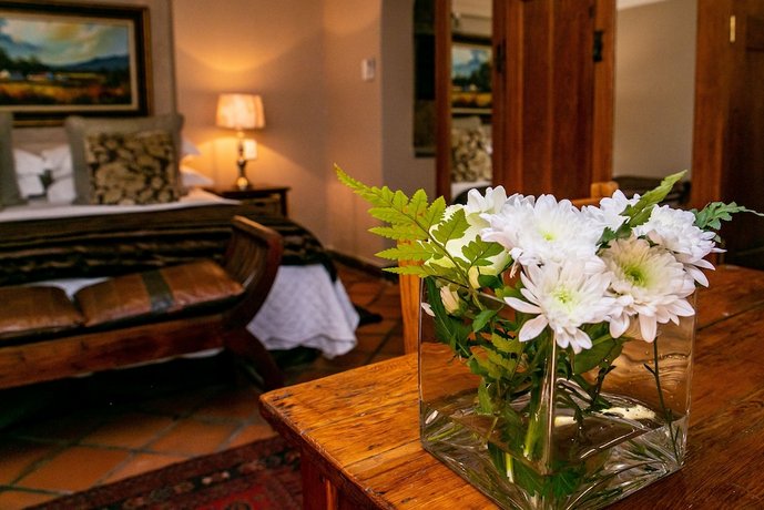 Terra Casa Guesthouse