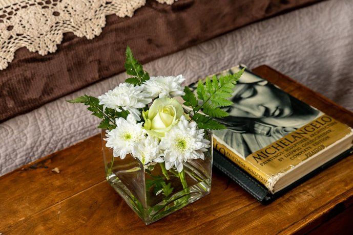 Terra Casa Guesthouse