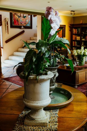 Terra Casa Guesthouse