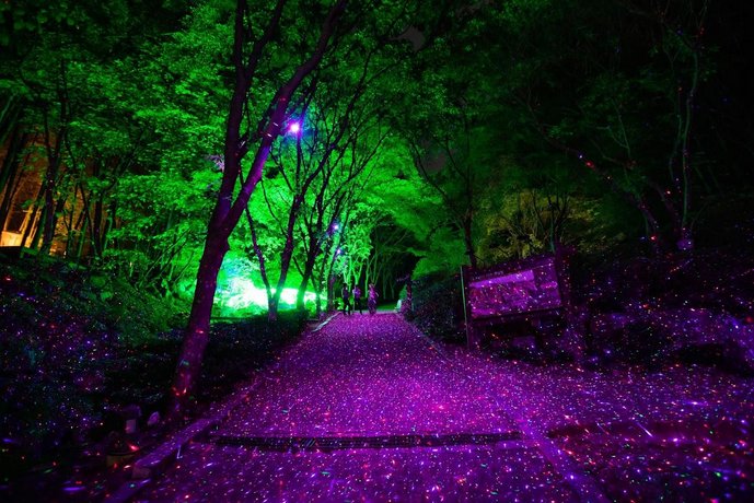 Vivaldi Park