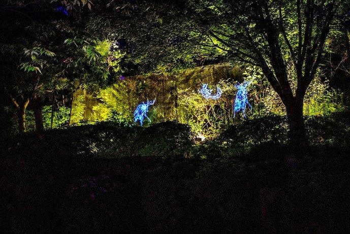 Vivaldi Park