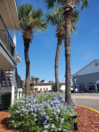 Best Western Space Shuttle Inn