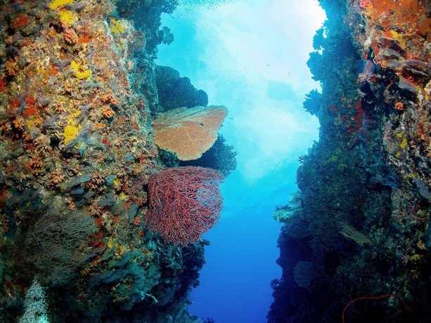Bliss Dhigurah