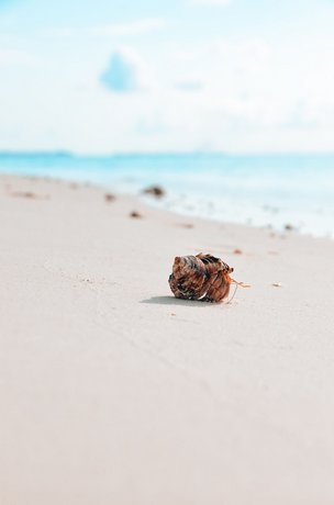 Bliss Dhigurah