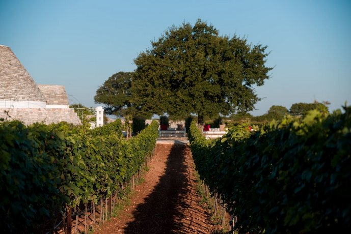 Nina Trulli Resort - Masseria San Francesco