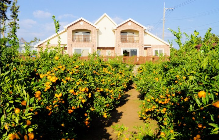 Seogwipo Lucky Clover Pension