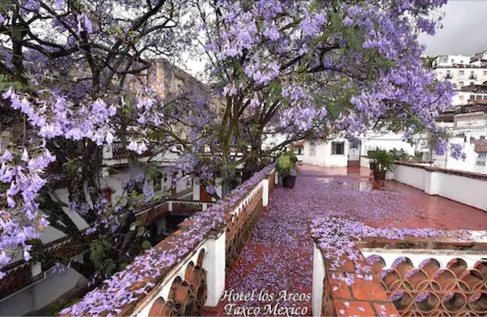 Hotel los Arcos