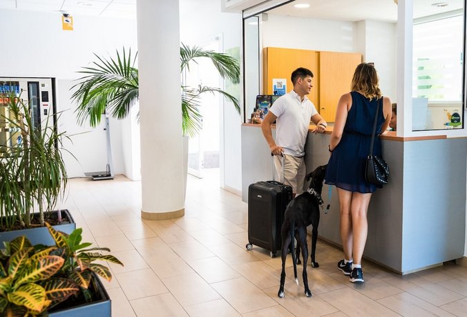 Les Dalies Apartamentos