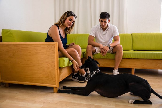 Les Dalies Apartamentos