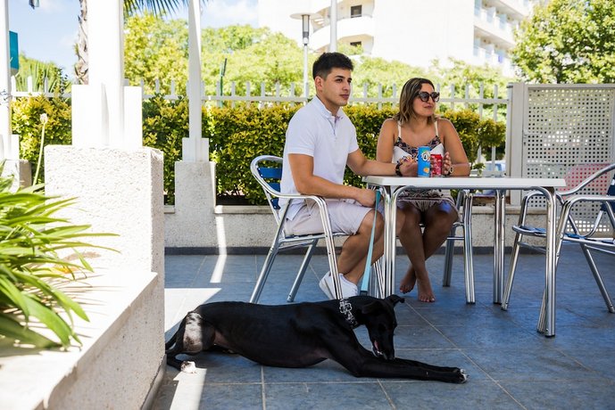Les Dalies Apartamentos