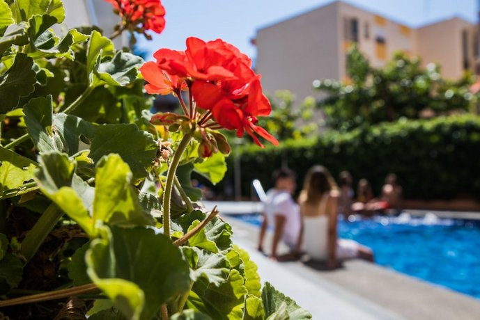 Les Dalies Apartamentos