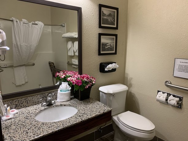 Comfort Inn South-Medford