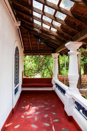 Seclude Falling Cashews Chorao Island North Goa