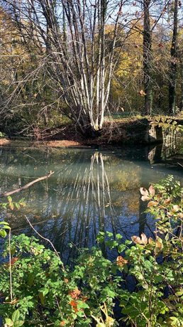 Chateau de Planches - Parc de Lesseps