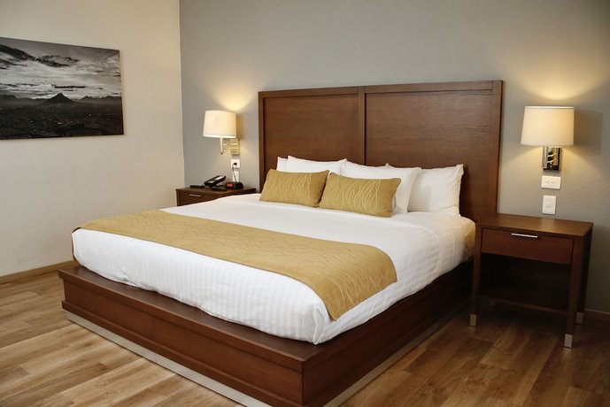 Comfort Inn Monterrey Valle