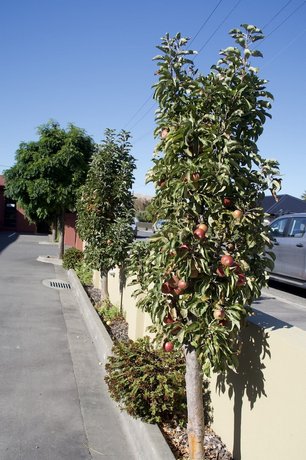 Blenheim Spa Motor Lodge