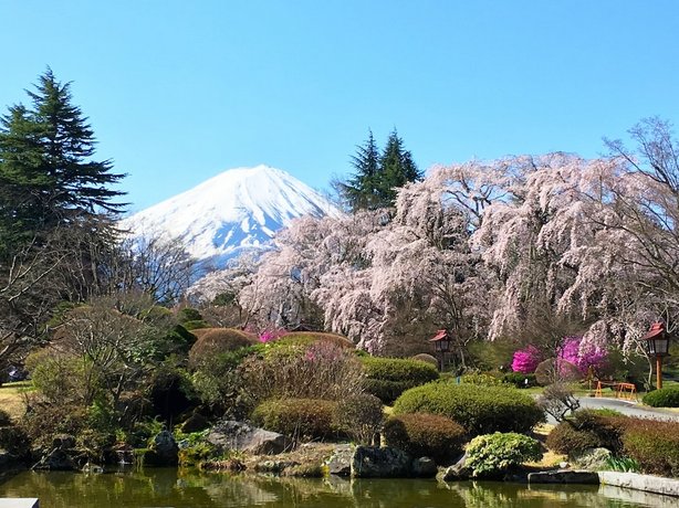 Fuji View Hotel