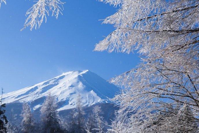Fuji View Hotel