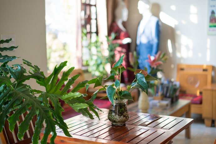 An Bang Beach Nature Homestay