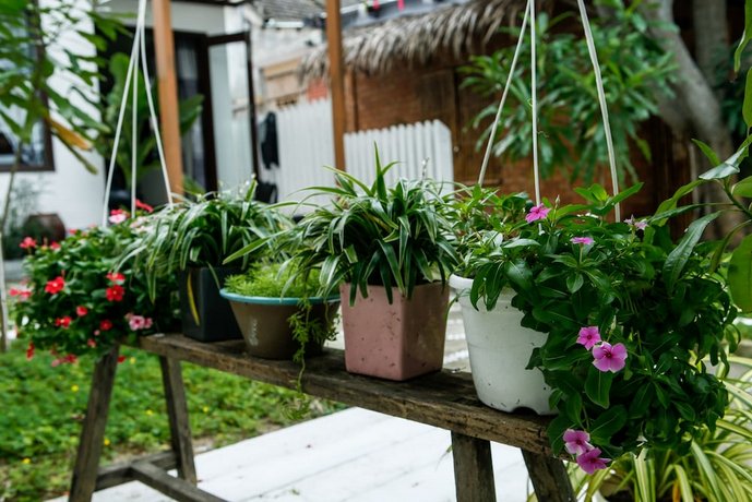 Sea Weed Homestay