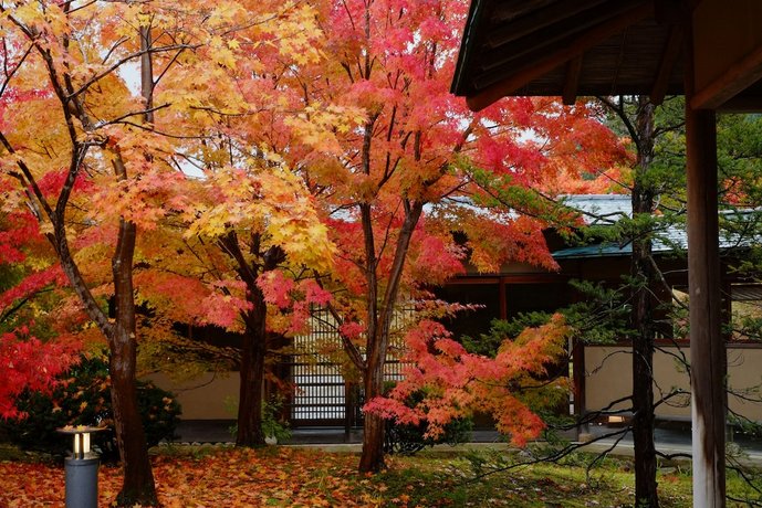 Hoshino Resorts KAI Tsugaru