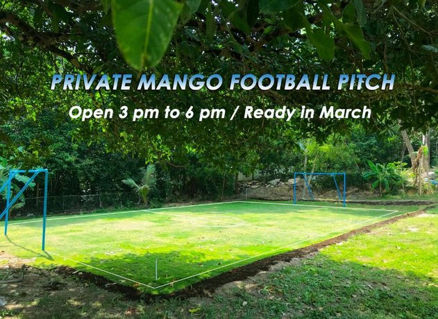 Luxury Mango Villa