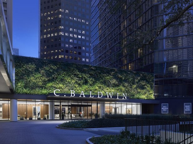 C Baldwin Curio Collection by Hilton