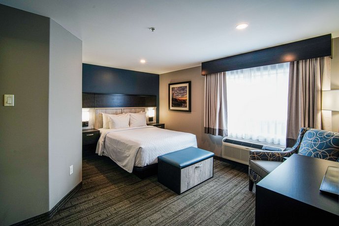 Best Western Plus Chocolate Lake Hotel - Halifax