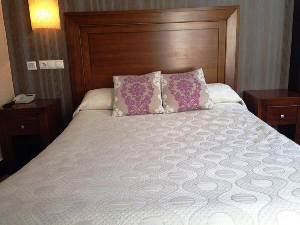 Hotel Rosaleda Don Pedro