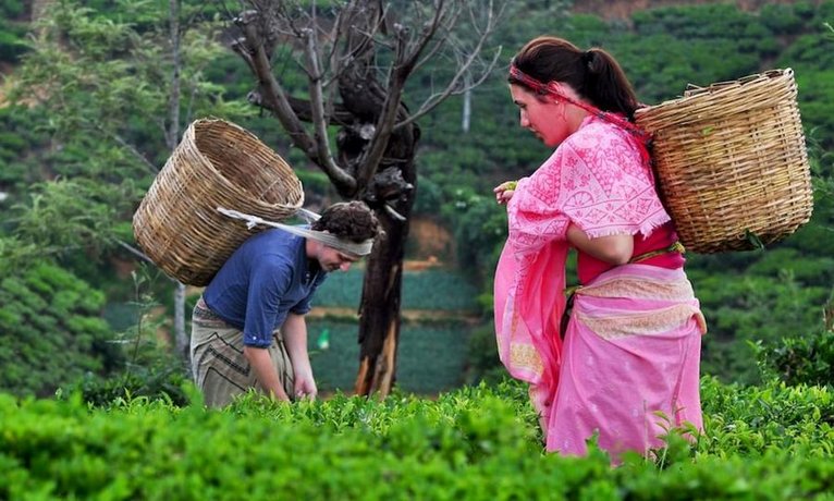 Heritance Tea Factory