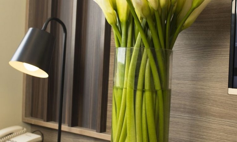 ARECA HOTEL NHA TRANG