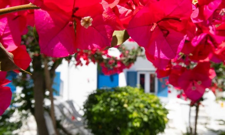 Acrogiali Hotel