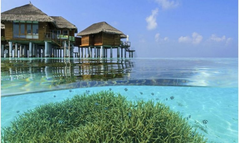 Outrigger Maldives Maafushivaru Resort
