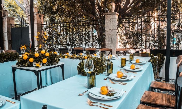 Orchid House Polanco