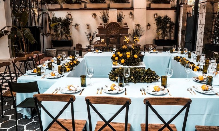Orchid House Polanco