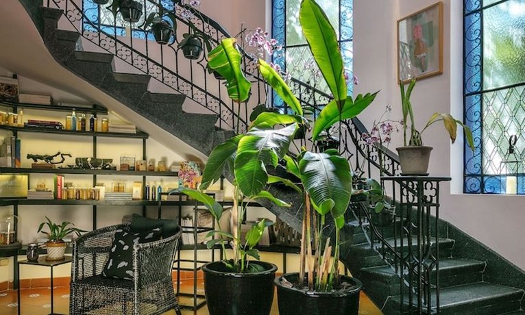Orchid House Polanco
