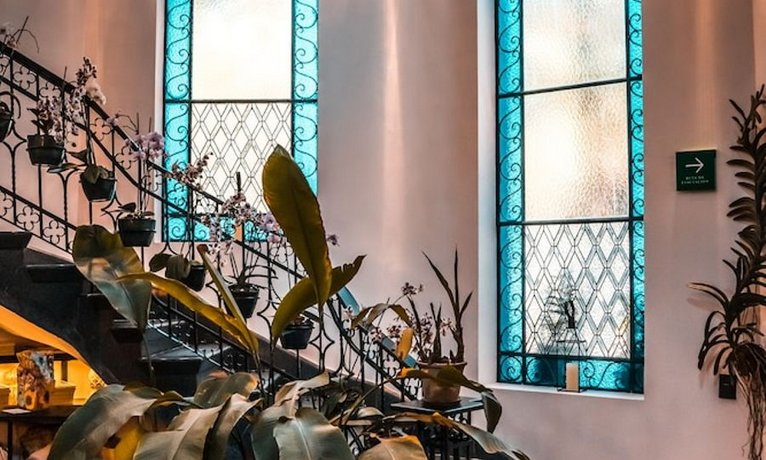 Orchid House Polanco