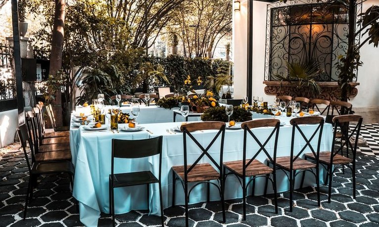 Orchid House Polanco