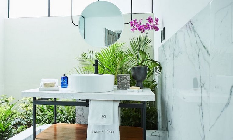 Orchid House Polanco