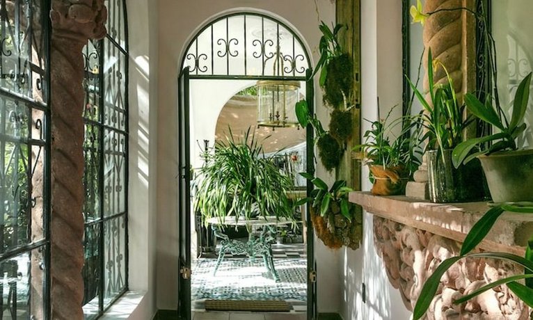 Orchid House Polanco