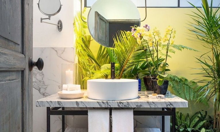 Orchid House Polanco
