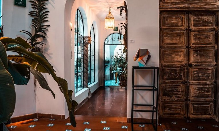 Orchid House Polanco
