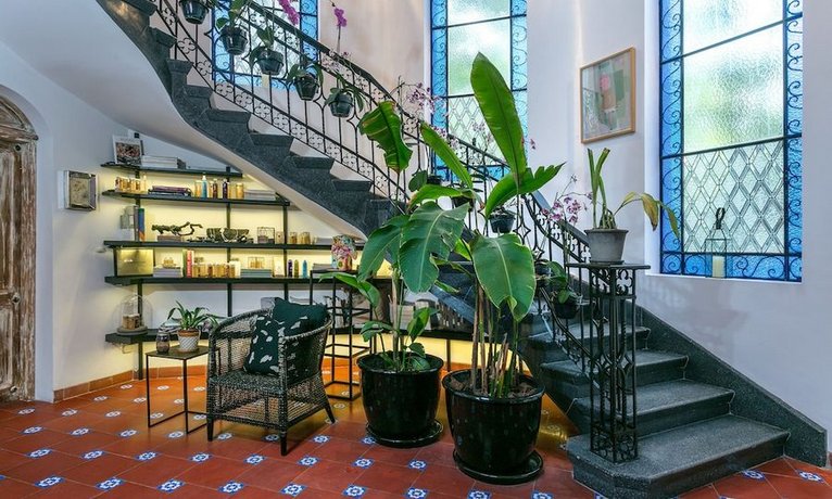 Orchid House Polanco