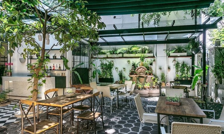 Orchid House Polanco