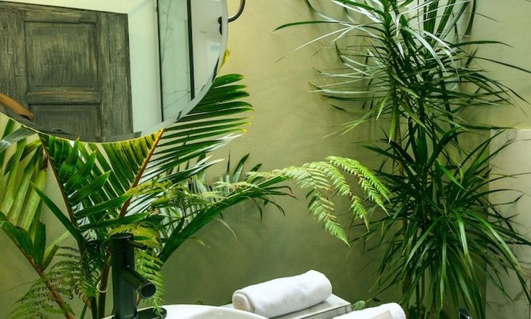Orchid House Polanco